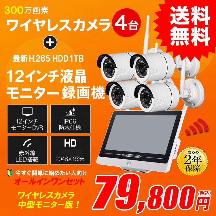 300万画素 ワイヤレス