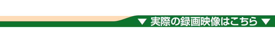 製品の特徴