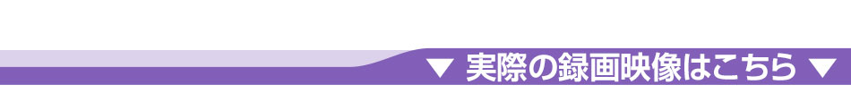 製品の特徴