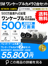 ip500万画素2台カメラセット