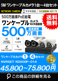 ネットワークカメラセット