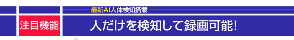 人物検索