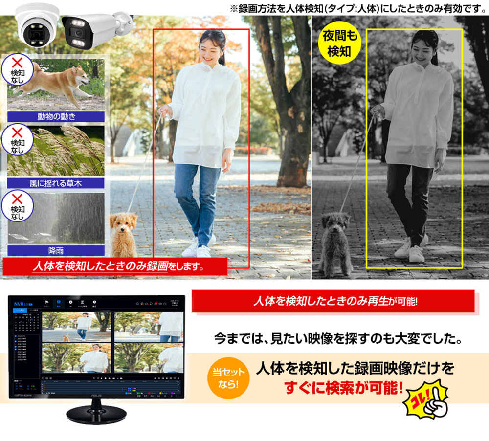 人物検索