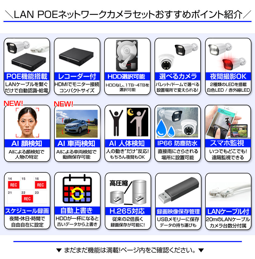 主な特徴