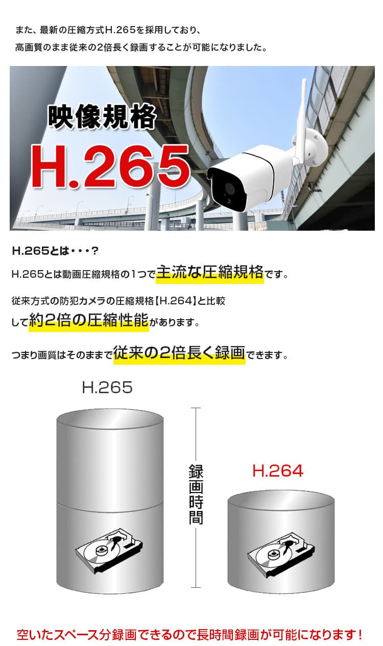 H265