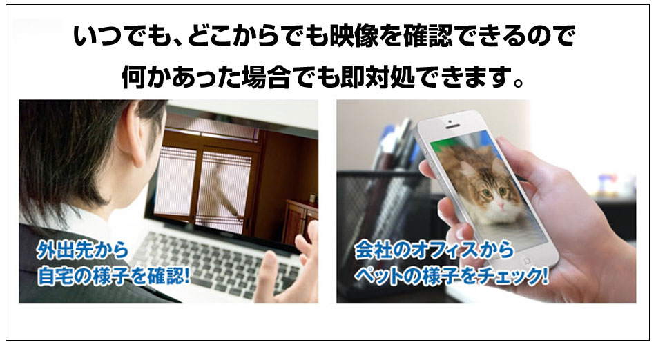 遠隔監視用DDNS