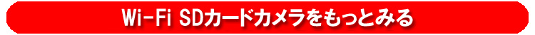 防犯カメラ　SDカード　wifiカメラ