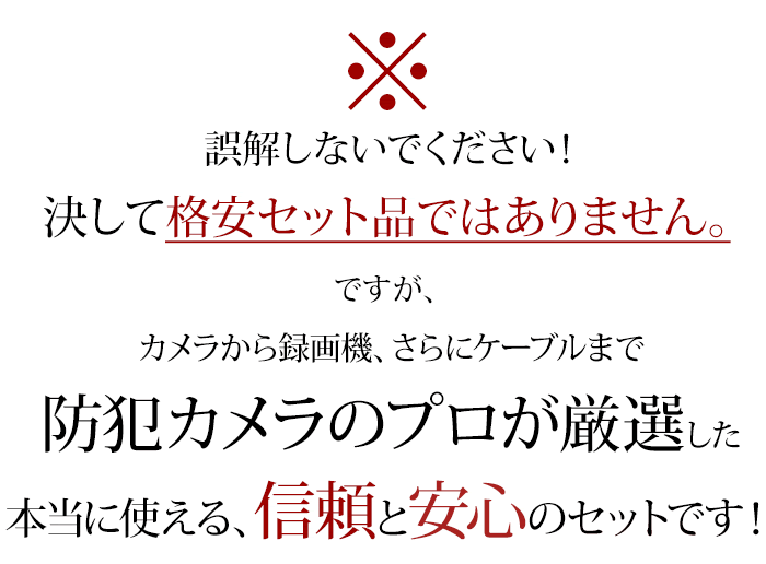 防犯カメラのプロが厳選 安心のセット