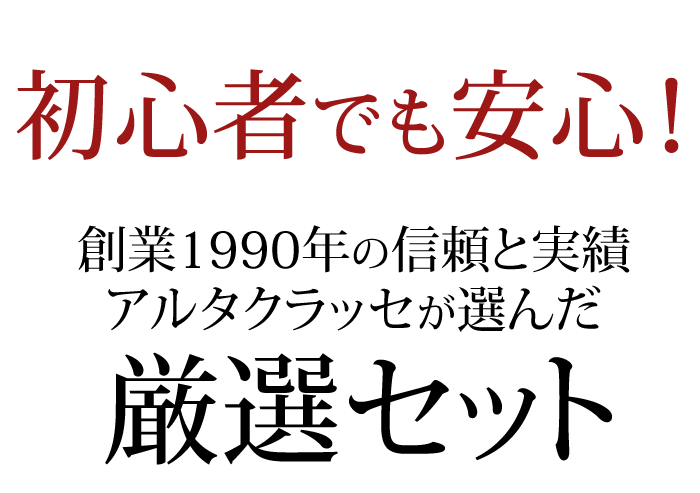 初心者でも安心 厳選 防犯カメラセット