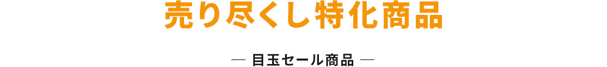 売り尽くし特化商品