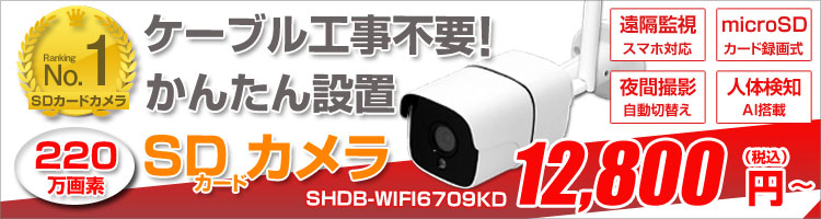 wifi SDカードカメラ