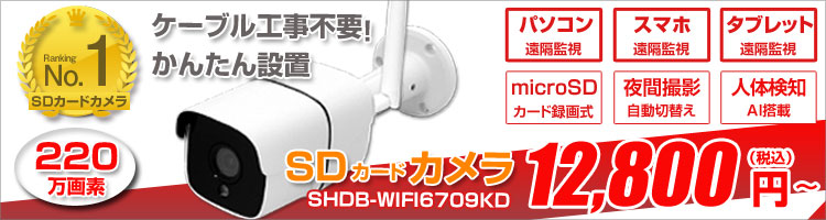 wifi SDカードカメラ