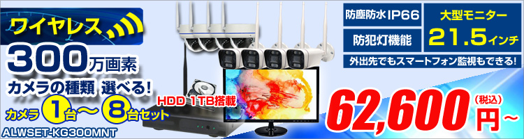 21.5インチモニター付 ワイヤレス防犯カメラセット ALWSET-KG300MNT-018