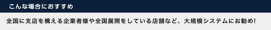 全国に支店を構える企業者様や全国展開をしている店舗など、大規模システムにお勧め!